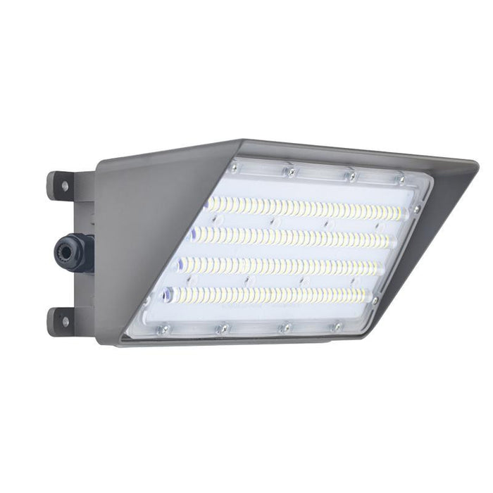 100W Outdoor LED wallpack light