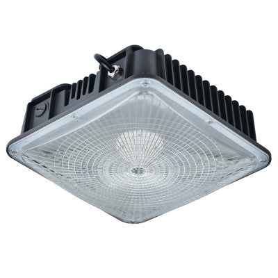 60W 7200 Lumens LED Canopy Light Fixtures